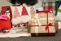 Christmas Gnomes Decorative Throw Pillow 18x18''