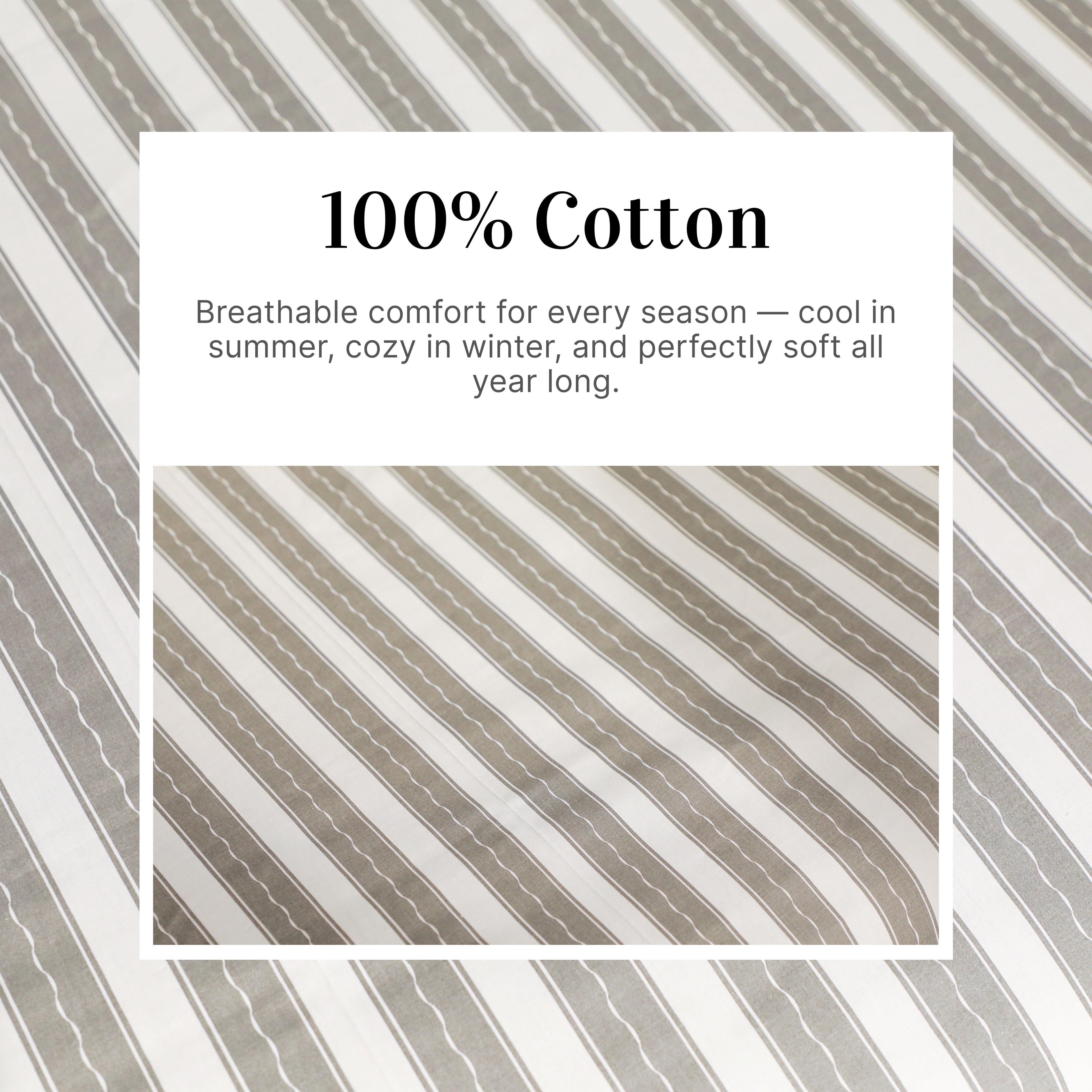 Luxury Harbour Printed Stripe 200TC Cotton Flat Bed Sheet Set