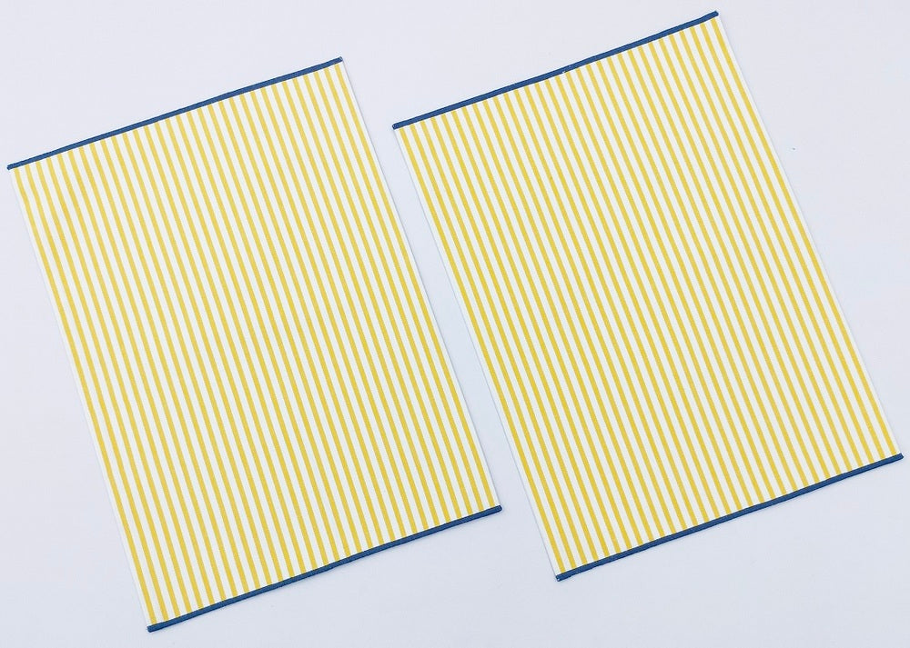 Premium Solar Stripe Woven Placemat Set Pack of 2pieces