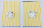 Premium Solar Stripe Woven Placemat Set Pack of 2pieces