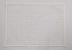 Festive Green Gingham Embroidered Placemat Set Of 2Pcs